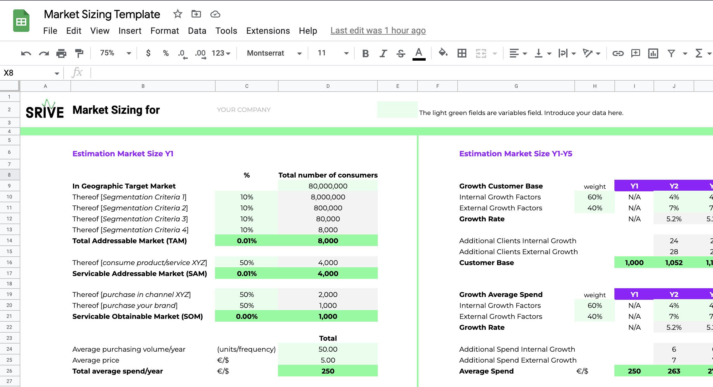 This image shows an example of the market sizing spreadsheet template